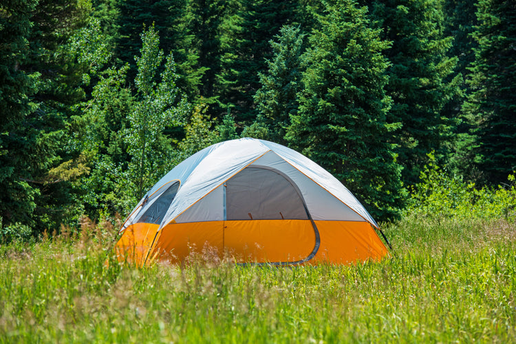 Camp Setup